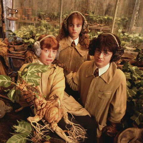 Diễn viên Harry Potter tiết lộ thù lao bất ngờ sau 20 năm Photo-5-16667748451221449750237-1666775862877-16667758632481024683873