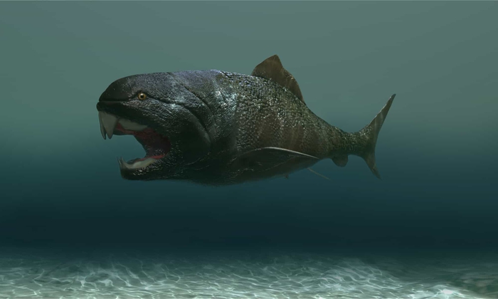 Phát hiện loài cá có thể cắn đôi xác cá mập trắng lớn - Ảnh 2.