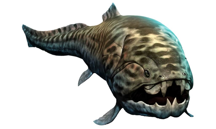 Phát hiện loài cá có thể cắn đôi xác cá mập trắng lớn - Ảnh 1.