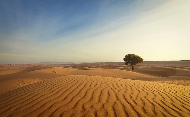 Có gì ở sa mạc muốn đổi 1kg gạo lấy 1kg cát cũng không được? - Ảnh 1.
