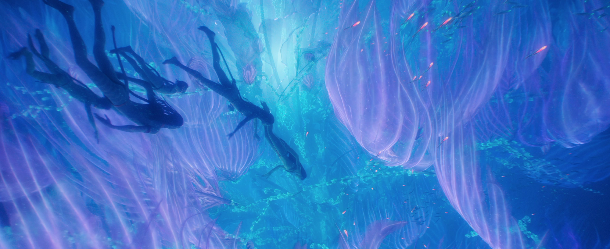 Avatar: The Way Of Water thực sự là một kỳ quan của thế giới chứ không chỉ là một bộ phim - Ảnh 6.