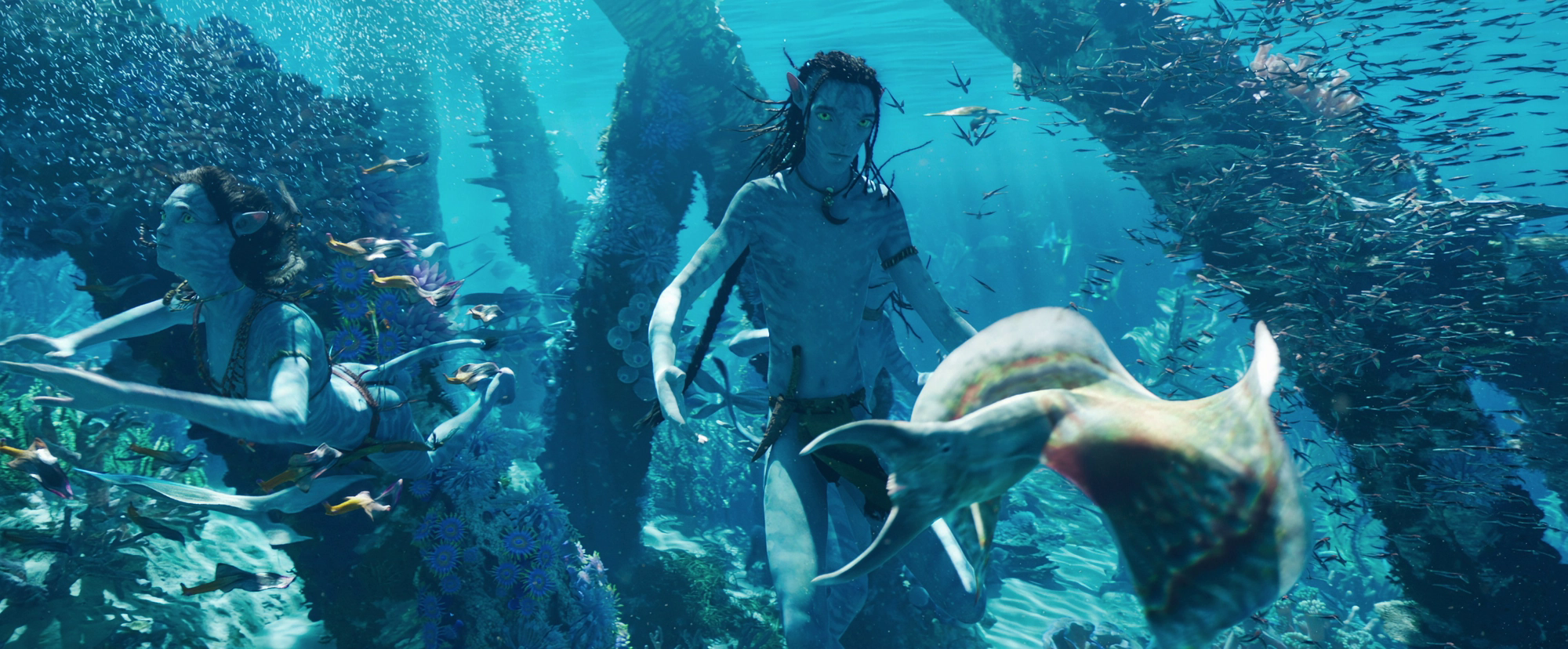 Avatar: The Way Of Water is truly a wonder of the world, not just a movie - Photo 10.