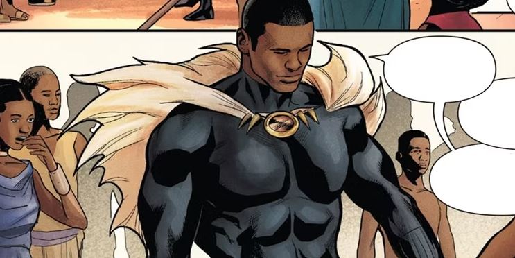 Tất tần tật các phiên bản Black Panther từ thời tiền sử cho đến tương lai - Ảnh 8.