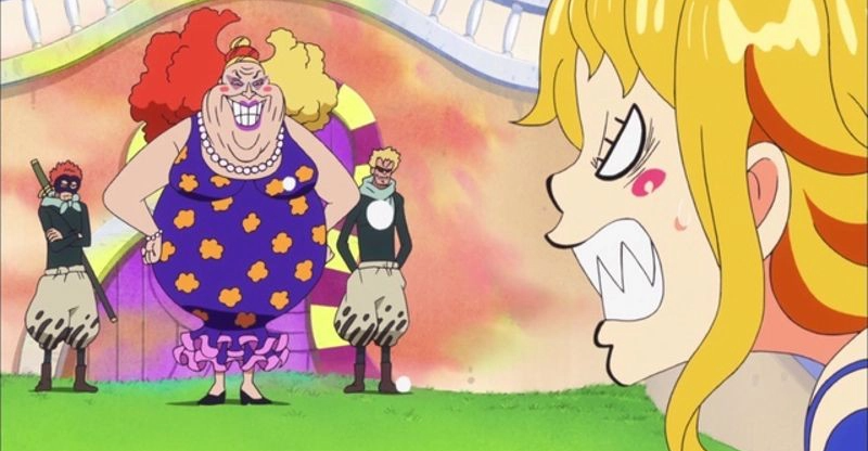One Piece: 26 biệt danh đã được các thành viên băng Mũ Rơm sử dụng - Ảnh 10.