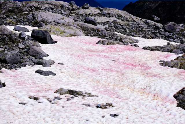 Hiện tượng tuyết hồng kỳ lạ trên núi: Đẹp ngỡ ngàng nhưng đồng thời là cảnh báo đỏ cho hành tinh của chúng ta?  - Ảnh 3.