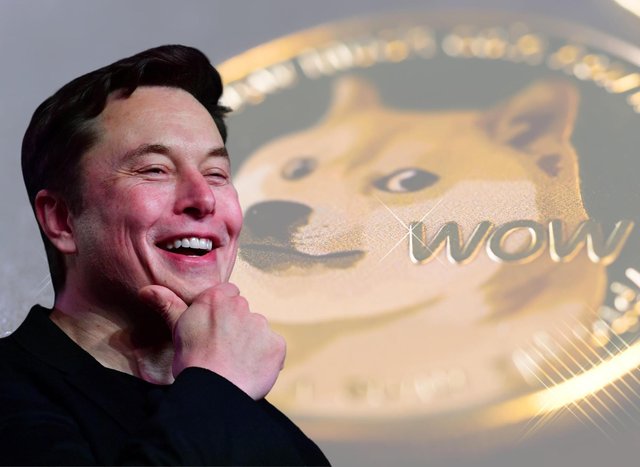 Elon Musk tuyến bố vẫn đang nắm giữ lượng lớn Bitcoin, Dogecoin - Ảnh 2.