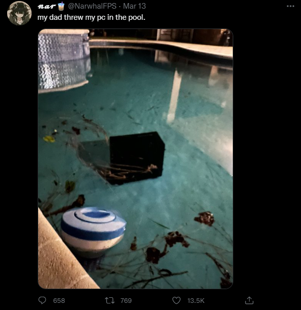 The gaming community is angry because a 15-year-old female streamer was thrown into the pool by her father, worth several hundred million - Photo 1.