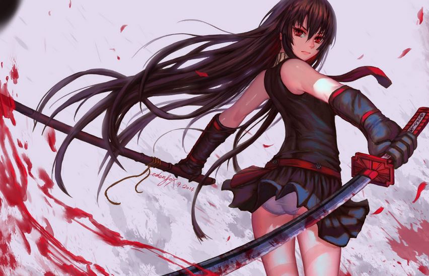 Top 15 shounen anime with attractive female leads and extremely worth