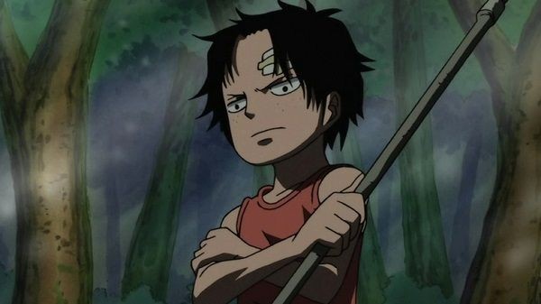 One Piece: Không phải Luffy, nếu con trai Vua hải tặc mới là người ăn trái Gomu Gomu thì sẽ thế sao? - Ảnh 1.