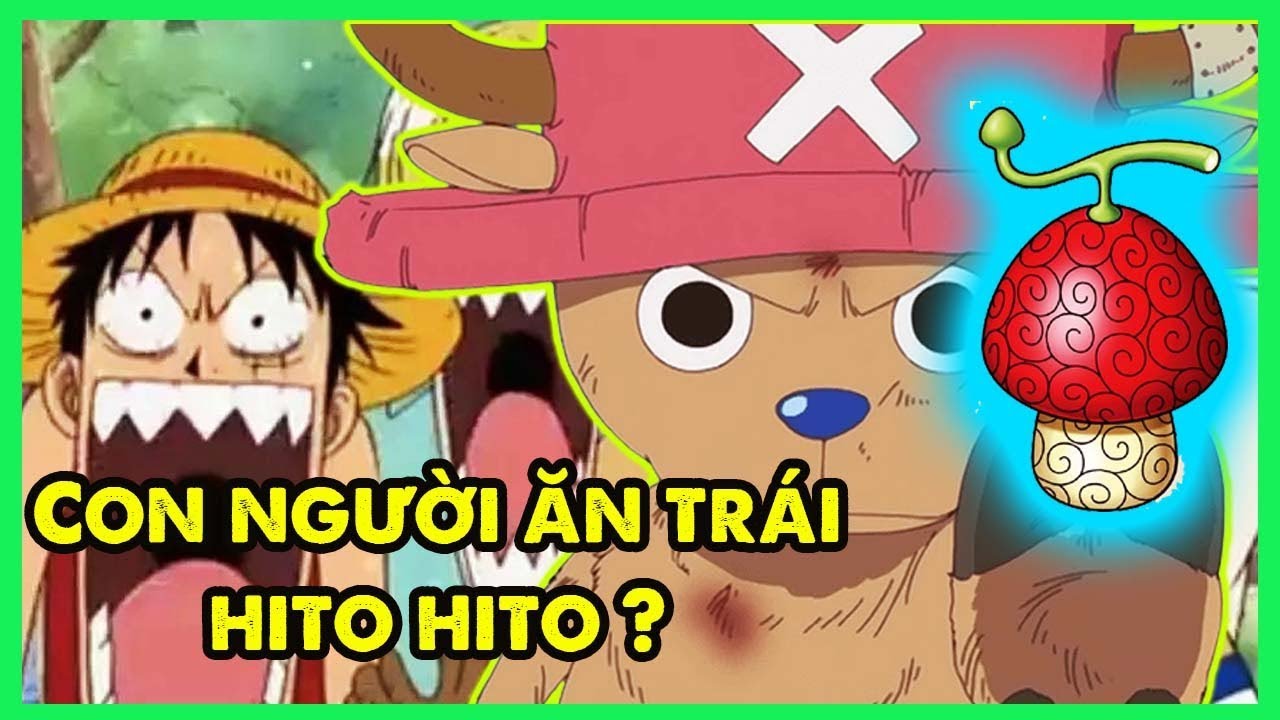 Tổng hợp những trái ác quỷ trong One Piece