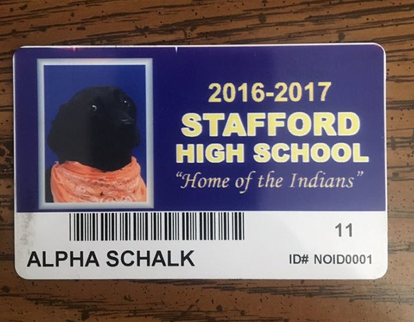 Strangely, the dog is free to go to school, has a student card and takes a yearbook photo with students - Photo 4.