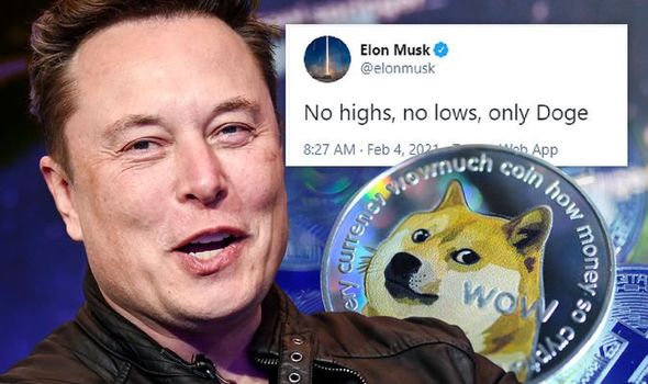 Quyết phù phép, sống mái với Dogecoin, Elon Musk đề xuất dùng đồng token này để trả dịch vụ Twitter, giá lại lên phi mã - Ảnh 1.