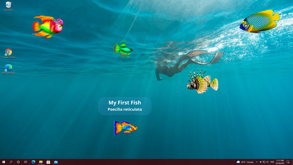 Biến màn hình máy tình thành bể cá ảo với Virtual Aquarium, miễn phí 100% - Ảnh 2.