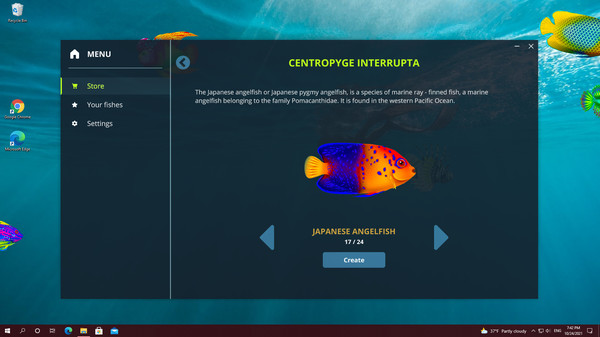 Biến màn hình máy tình thành bể cá ảo với Virtual Aquarium, miễn phí 100% - Ảnh 5.