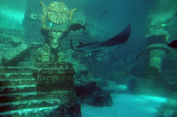  Khám phá Atlantis Phương Đông: Thành phố cổ nằm sâu dưới lòng hồ, có niên đại 1300 năm và kiến trúc kì vĩ khiến nhiều người phải nổi da gà - Ảnh 3.