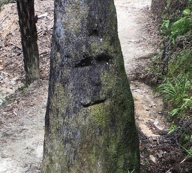 Funny object faces happen to appear in people's lives - Photo 8.