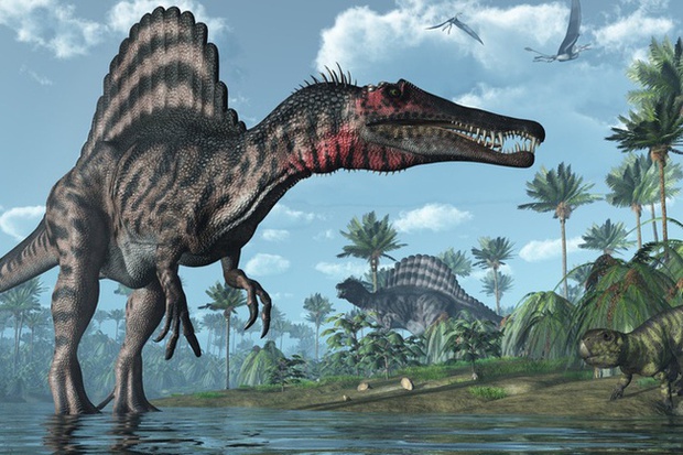  Phát hiện loài khủng long mặt chó bull, tựa như phiên bản nâng cấp của khủng long bạo chúa - Ảnh 2.