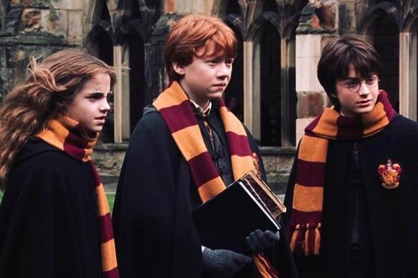 Giải mã sức hút mãnh liệt từ thương hiệu Harry Potter dù đã ra mắt cả 2 thập kỷ - Ảnh 5.