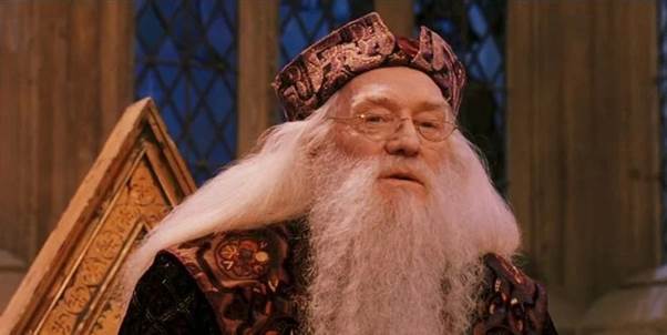 Giải mã sức hút mãnh liệt từ thương hiệu Harry Potter dù đã ra mắt cả 2 thập kỷ - Ảnh 6.