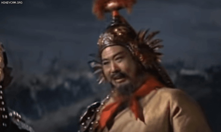 Chả phải Lưu Diệc Phi, đây mới là loạt phiên bản Mulan độc lạ nhất: Có cả côn trùng 6 chân lạ chưa! - Ảnh 4.