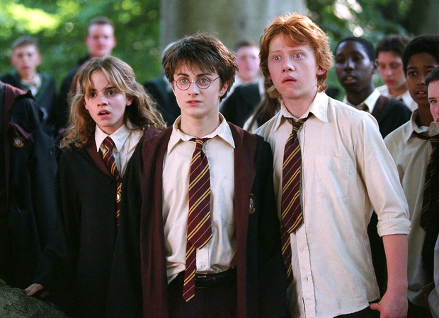 Cái kết thực sự của các nhân vật trong Harry Potter, chỉ cần xem phim là có thể biết được - Ảnh 1.