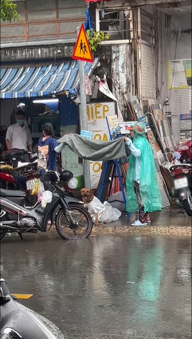 Chú chó trốn khỏi kẻ trộm giữa mưa và cử chỉ được khen hết lời của 2 cô gái lạ - Ảnh 5.