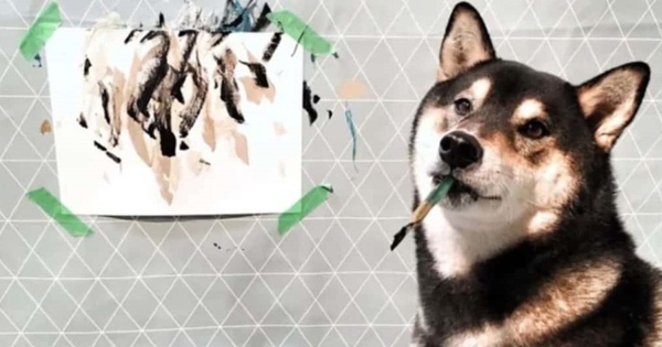 Chú chó có tài vẽ tranh được khắp thế giới đặt mua, giúp chủ kiếm hơn 400 triệu - Ảnh 1.