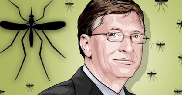 Nhà máy tạo ra 30 triệu con muỗi mỗi tuần, được Bill Gates khen ngợi - Ảnh 1.