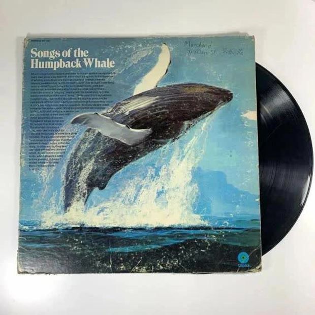  4 âm thanh của tự nhiên được lưu thành đĩa nhạc: Tiếng hót của loài chim sắp tuyệt chủng cùng tiếng vọng của trái đất, quá khứ và cá voi - Ảnh 13.