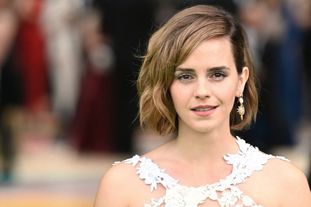 Emma Watson: Từ diễn viên nhí trở thành biểu tượng sắc đẹp thế giới và sếp lớn của Gucci - Ảnh 3.