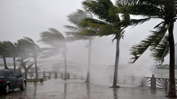 Tại sao các cơn bão được đặt tên và các cơn bão châu Á thường được đặt theo tên động vật và thực vật?  - Ảnh 2.