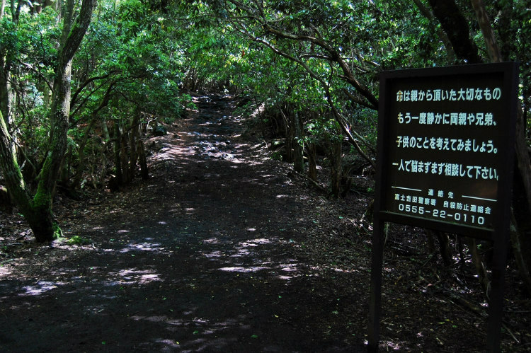 Aokigahara: Japan's most mysterious, suicide forest - Photo 4.