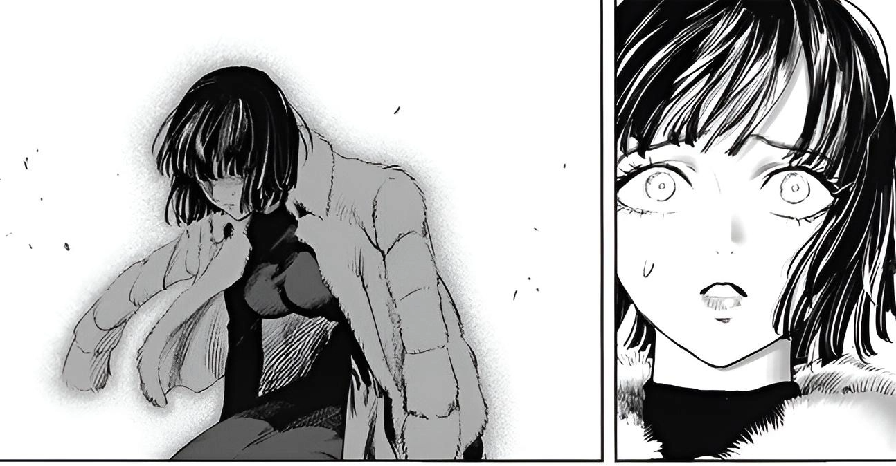 Manga One Punch Man lại gây sốt nhờ mối quan hệ giữa Saitama và chị em Bão Tuyết - Ảnh 4.