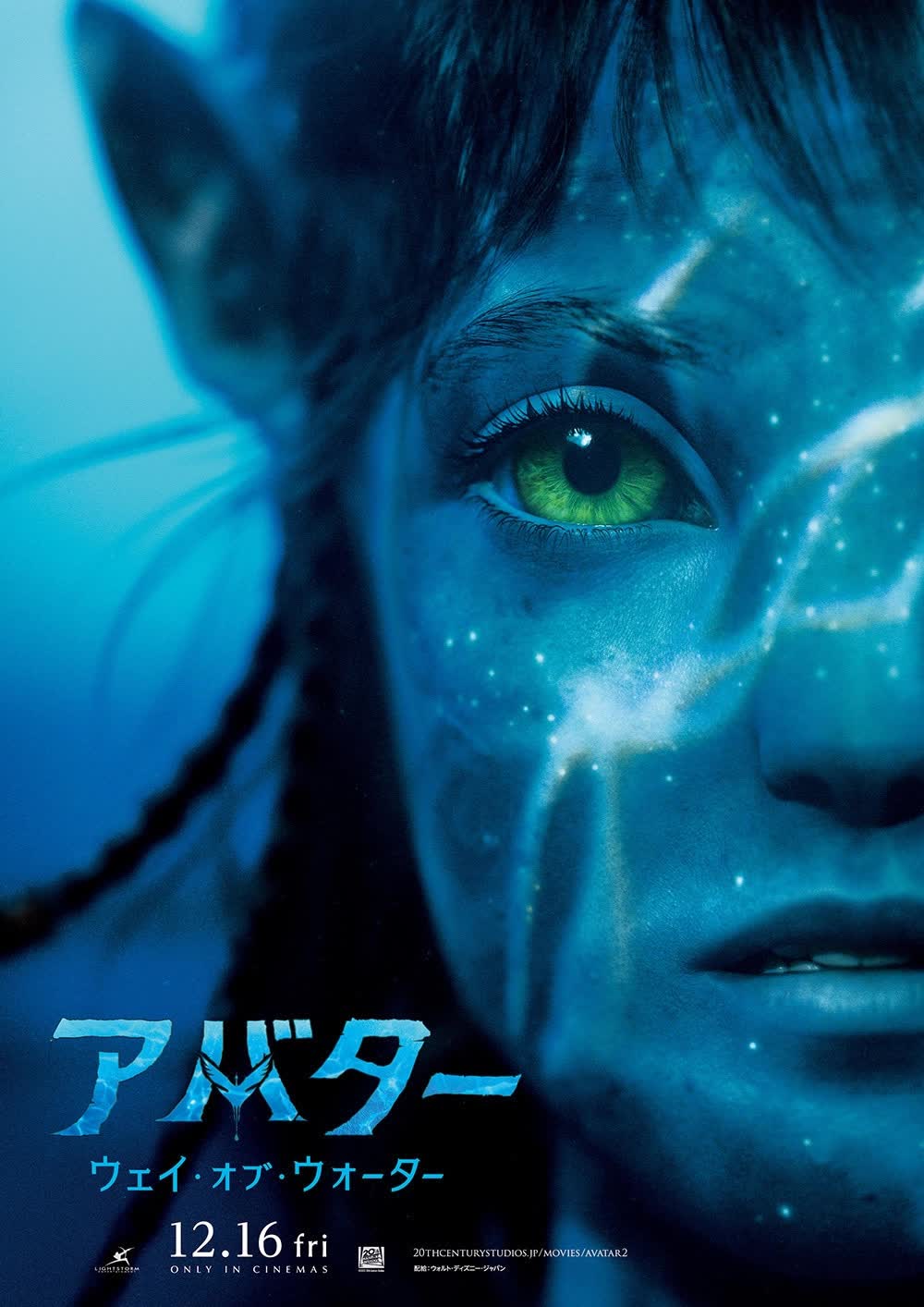 Quốc gia hiếm hoi mà Avatar 2 không thể 'công phá' phòng vé: Bom tấn Hollywood cũng xếp sau thể loại này  - Ảnh 2.