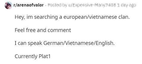 Bất bại ở trời Âu, game thủ nổi tiếng hào hứng chinh phục rank Liên quân Việt - Ảnh 3.