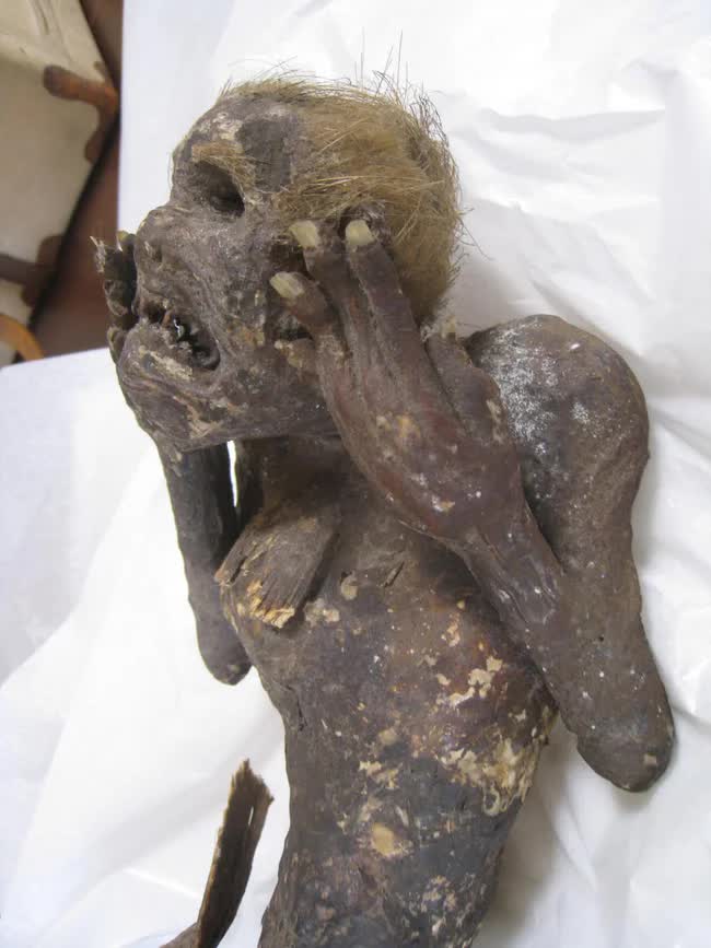 Bí mật về xác ướp “nàng tiên cá” được tôn thờ 300 năm ở Nhật Bản Photo-1-1676816876392550740234-1676867653876-16768676540571226670858