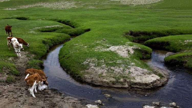 Con sông hẹp nhất thế giới 'lạ' như thế nào: Dài 17km nhưng chỉ rộng 4cm ở đoạn hẹp nhất, tồn tại từ 10.000 năm trước - Ảnh 2.