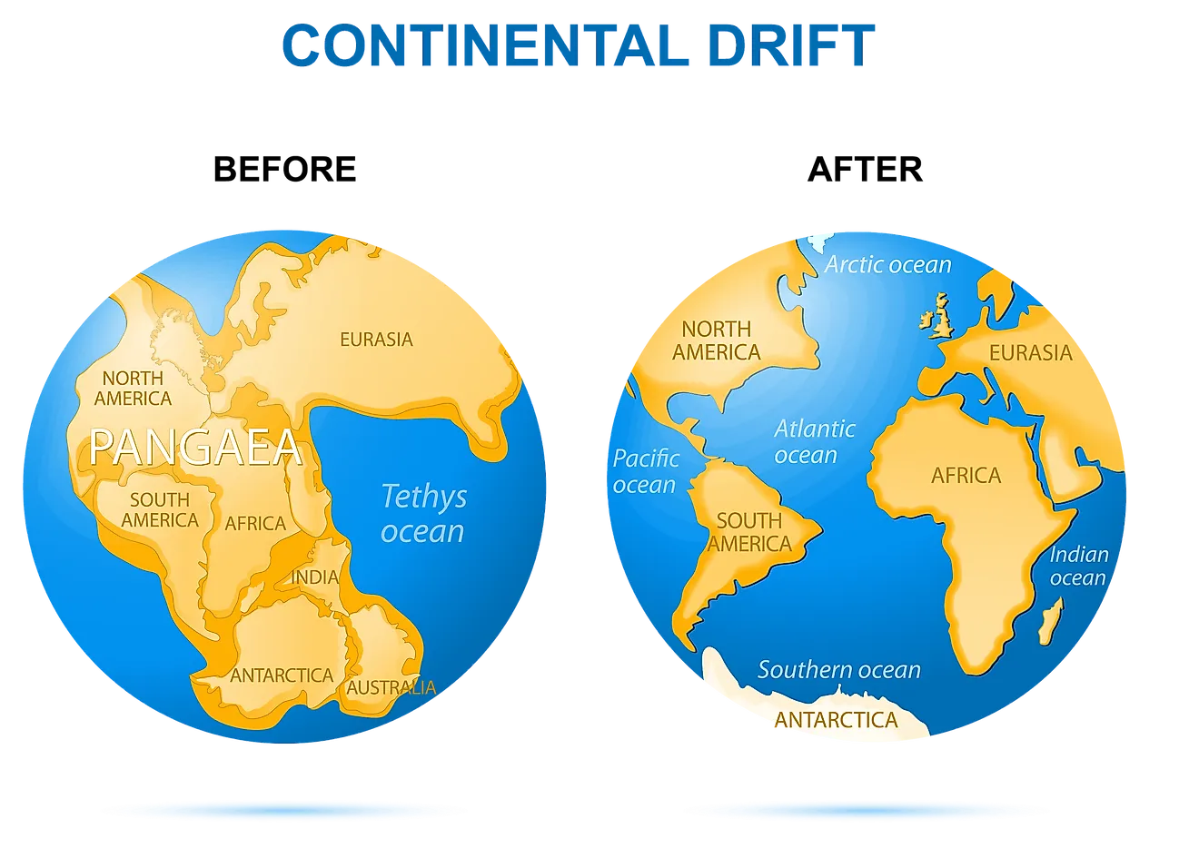 What would happen to humans if the oxygen content on Earth doubled?  - Photo 4.