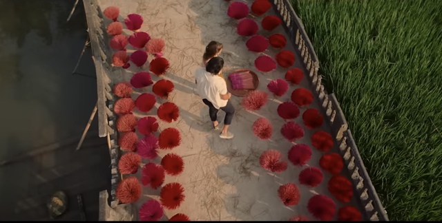 Việt Nam xuất hiện tuyệt đẹp ở phim Hollywood mới - Ảnh 13.