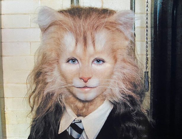 It's a trick: Hermione's cat in Harry Potter is not Emma Watson, behind the mask is an equally beautiful beauty - Photo 2.