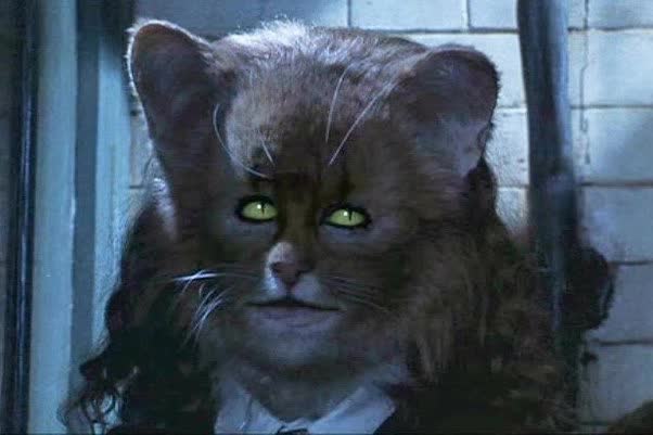 It's a trick: Hermione's cat in Harry Potter is not Emma Watson, behind the mask is an equally beautiful beauty - Photo 1.