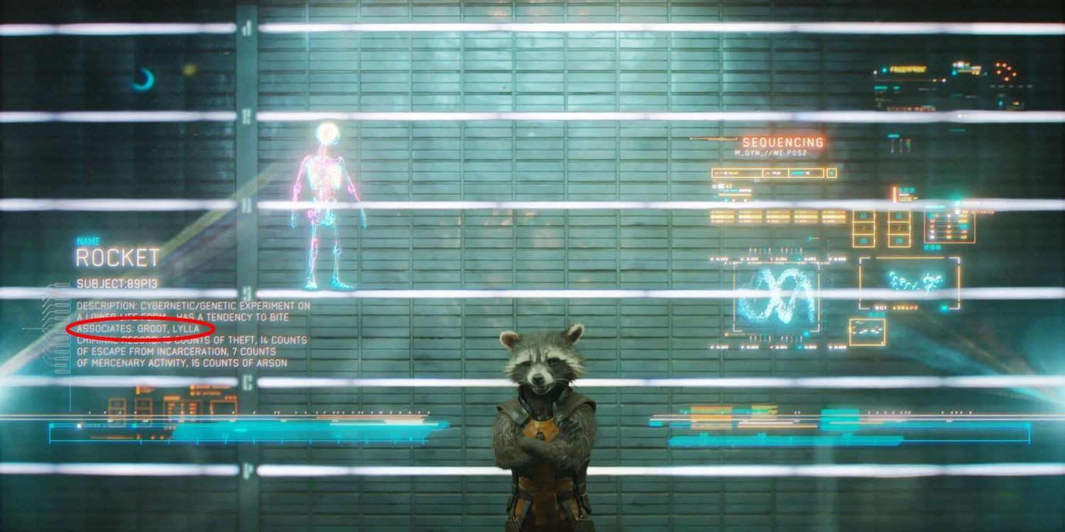 Explaining the identity of Rocket's childhood friend, who used to drain the audience's tears in Guardians of the Galaxy 3 - Photo 4.
