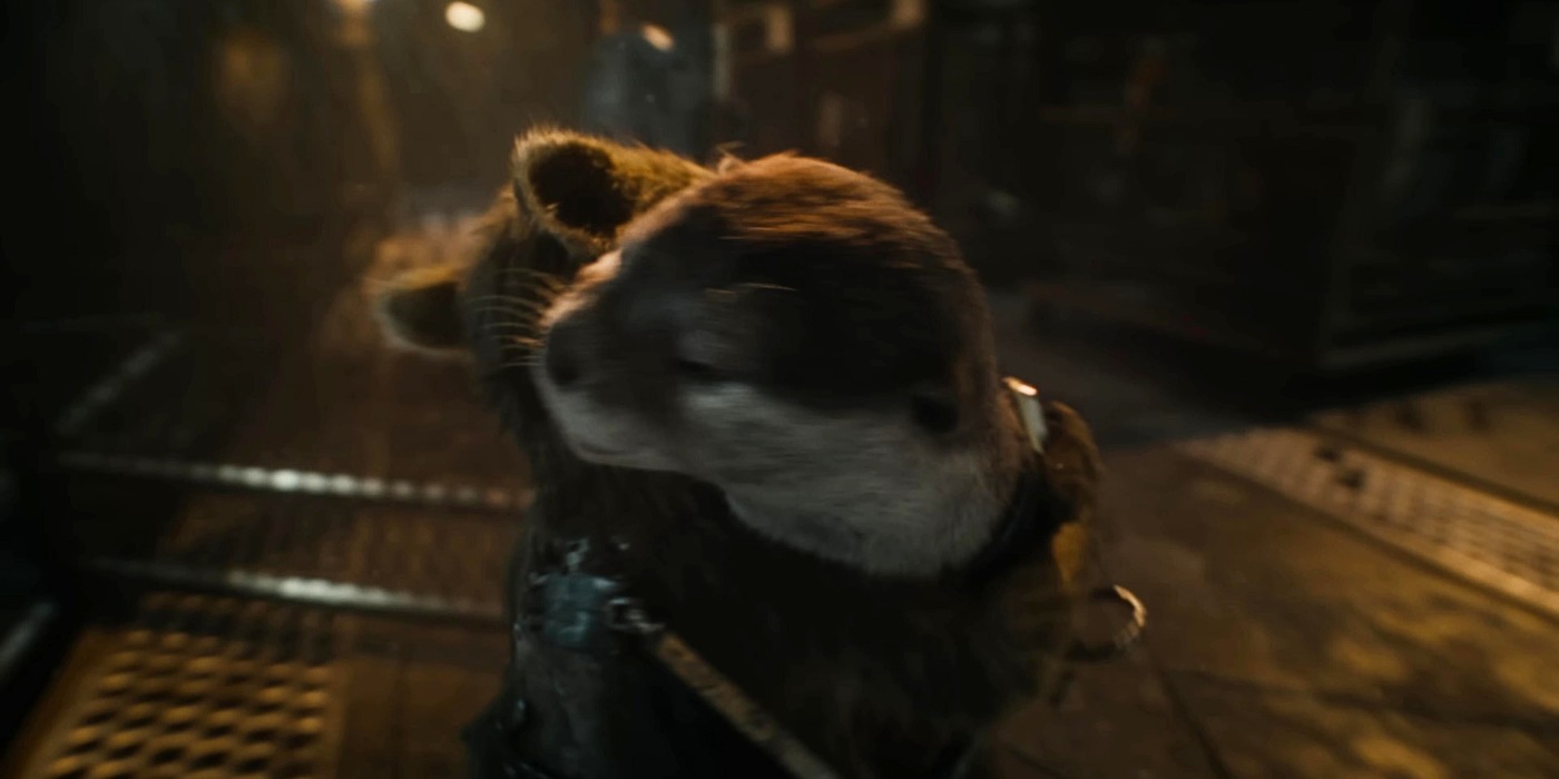 Explaining the identity of Rocket's childhood friend, who used to drain the audience's tears in Guardians of the Galaxy 3 - Photo 5.