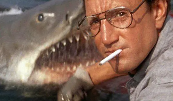 What makes sharks always an attractive topic for thrill-thrillers?  - Photo 2.