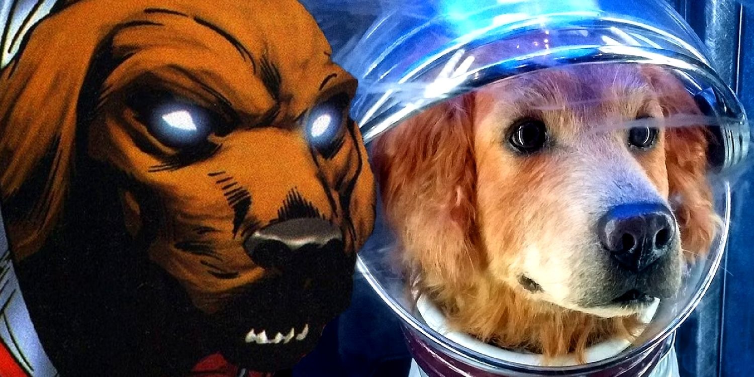Decipher the identity of the lovely dog ​​that occupies the spotlight in Guardians of the Galaxy 3 - Photo 3.