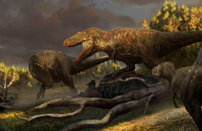 kích thước tí hon của khủng long Tyrannosaurus rex Photo-6-16846657109131399475011-1684724324225-1684724324284231996666