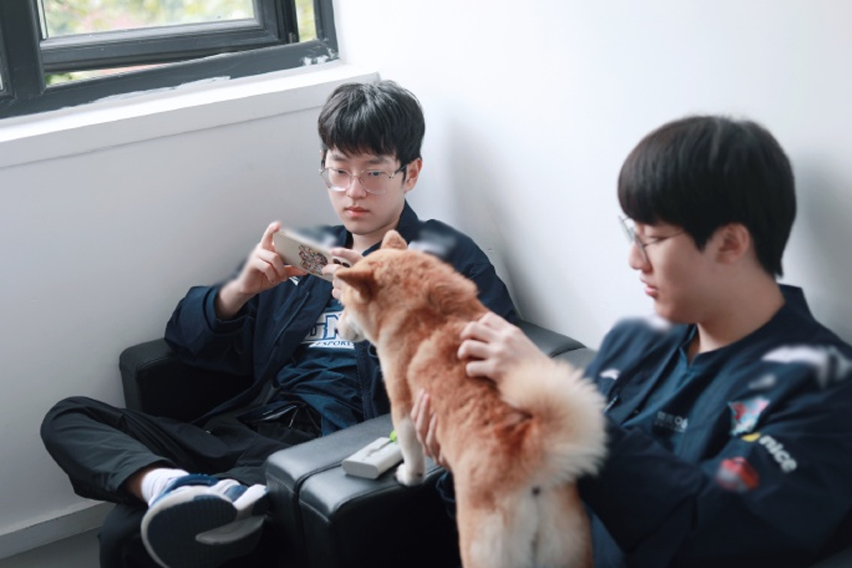 Is there only one team that can compete with JDG in the 2023 LPL Summer Split?  - Photo 2.