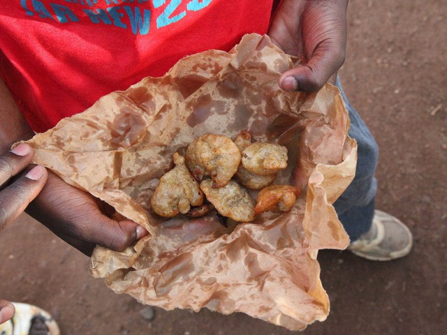 What is the typical lunch in school cafeterias around the world?  - Photo 5.