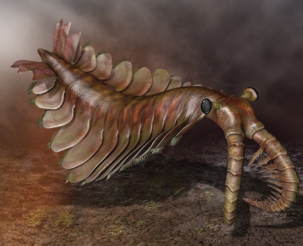 Không phải Megalodon, 5 loài này mới thực sự là quái vật mạnh nhất đại dương cổ đại - Ảnh 1.