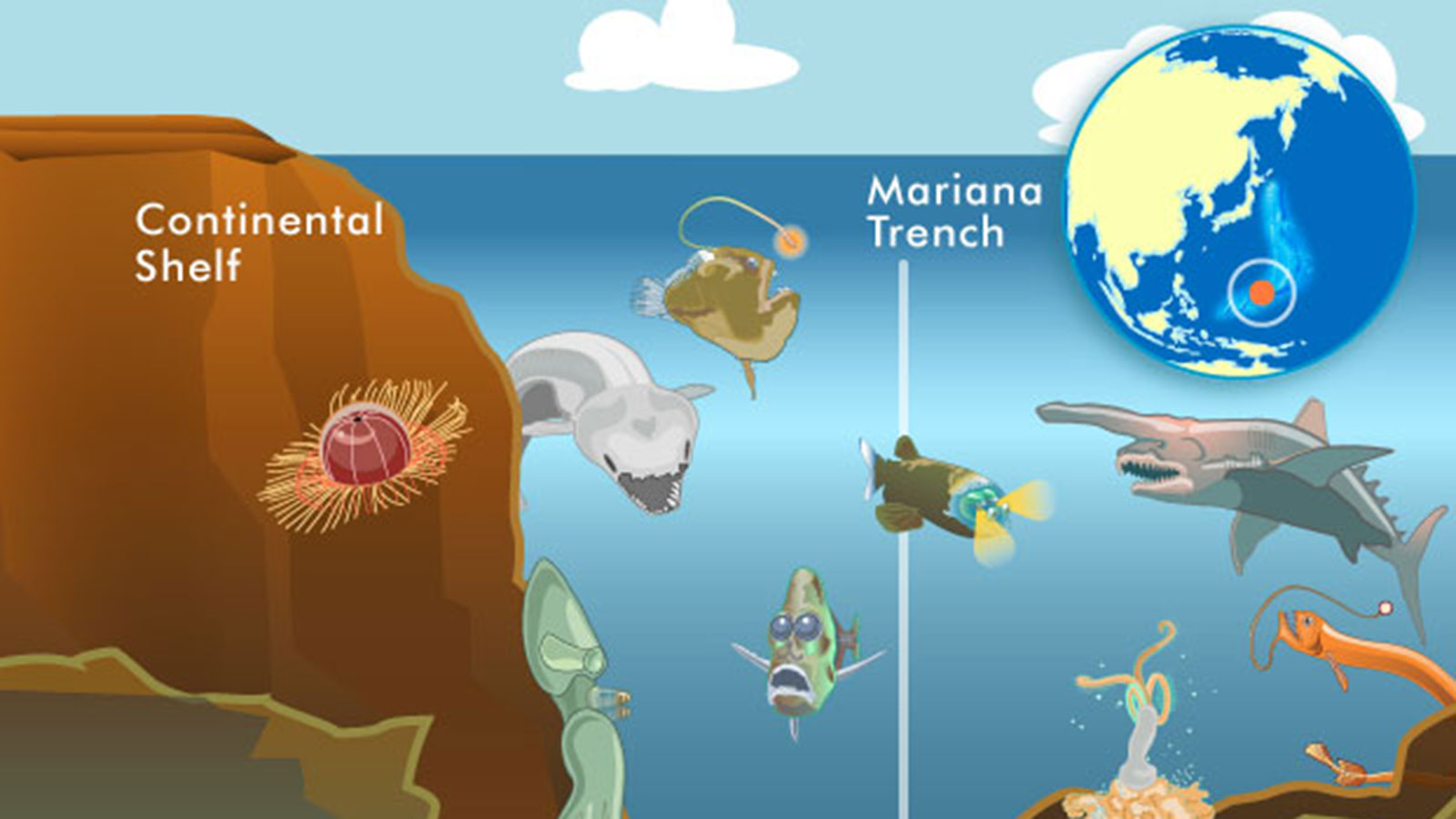 Bí ẩn về hiện tượng rãnh Mariana nuốt chửng 3 tỷ tấn nước biển mỗi năm - Ảnh 3.
